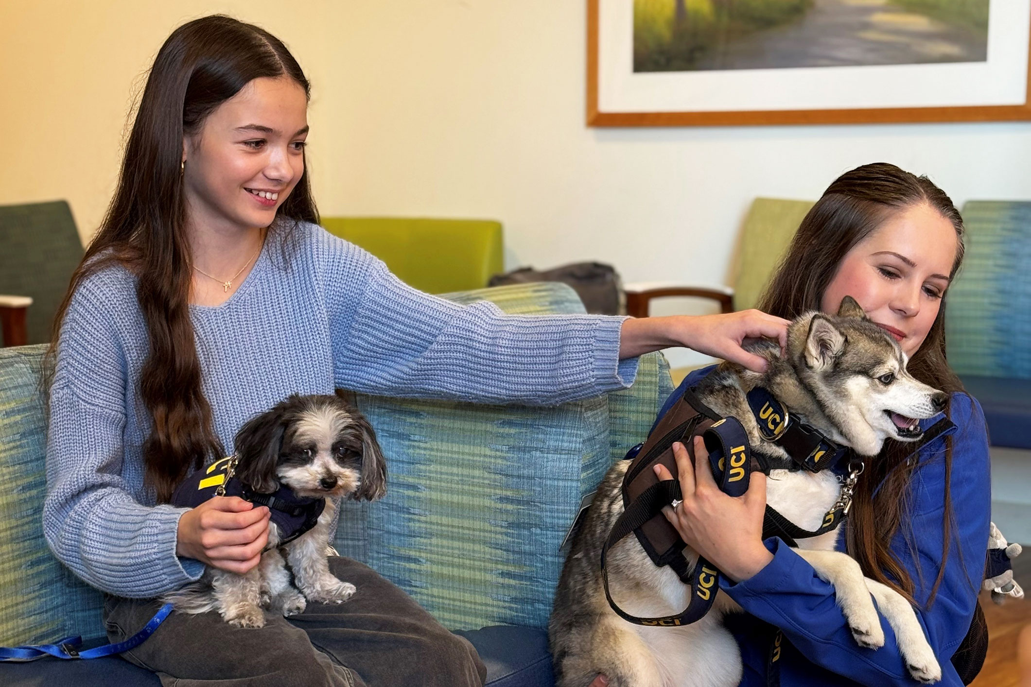 Lauren Torres, 12, is reunited with UCI Health pet therapy dogs Lulu, in her lap, and Pixel, in her owner's arms.